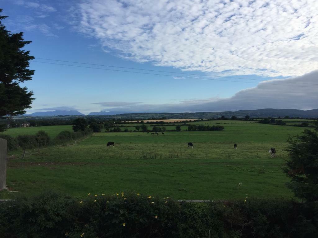 Meadow Cottage Tralee Buitenkant foto